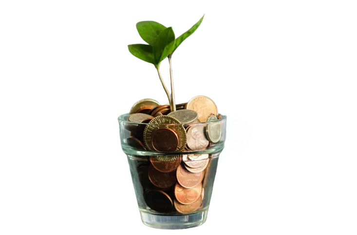 Copo com moedas e uma planta